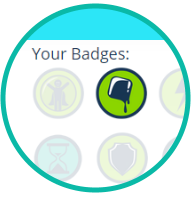 badges