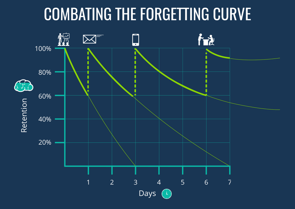 What Is The Ebbinghaus' Curve (And How Do You Combat It)?
