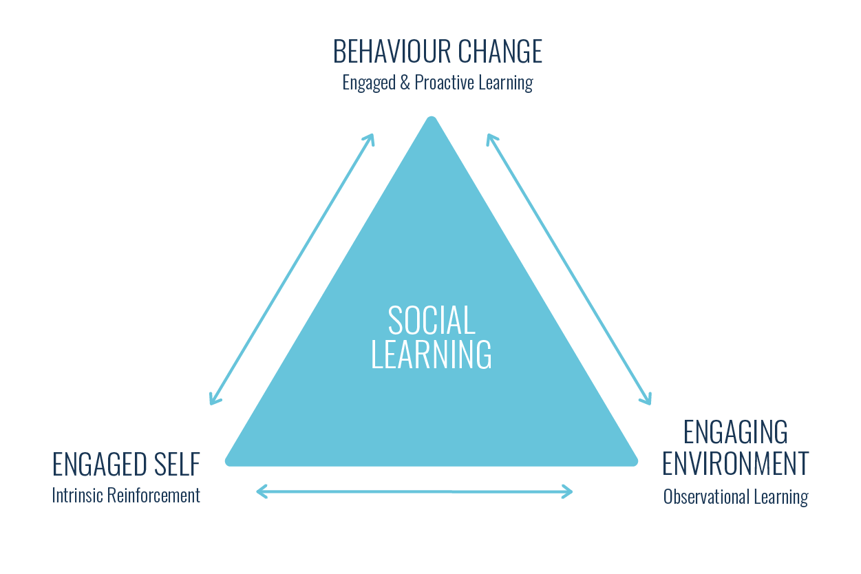 social learning theory