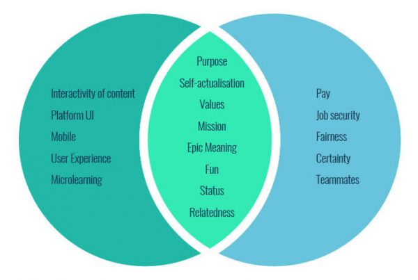 The Difference Between Employee Engagement & Learner Engagement