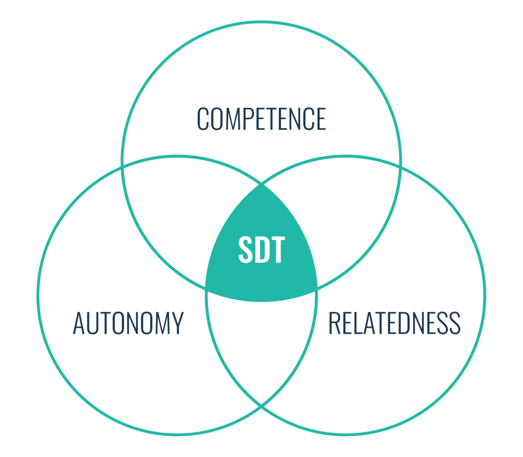 Adaptive learning relates to self-determination theory