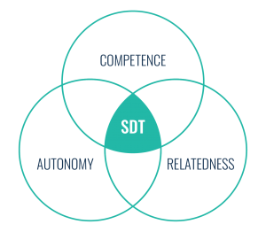 SDT diagram