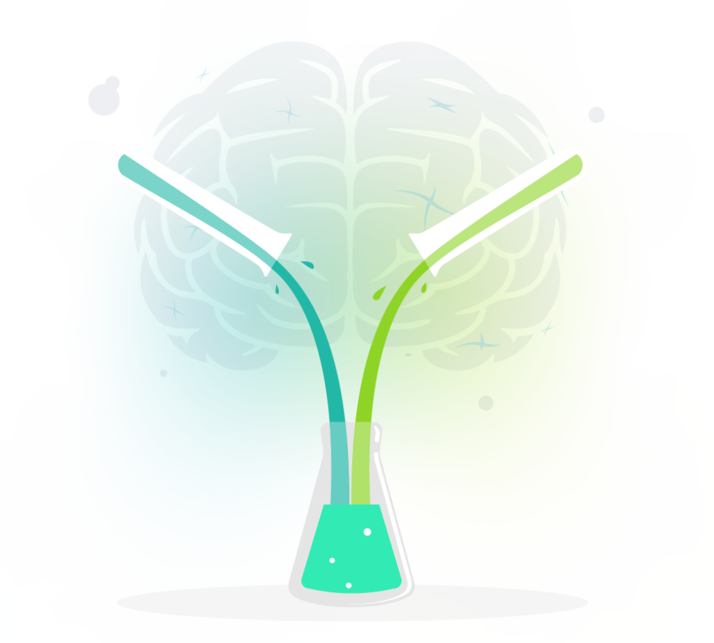 Neuroscience of learning