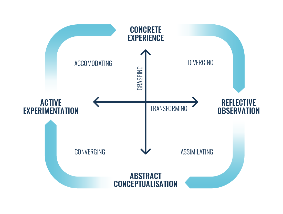  La teoria dell'apprendimento esperienziale di Kolb include quattro stili di apprendimento.