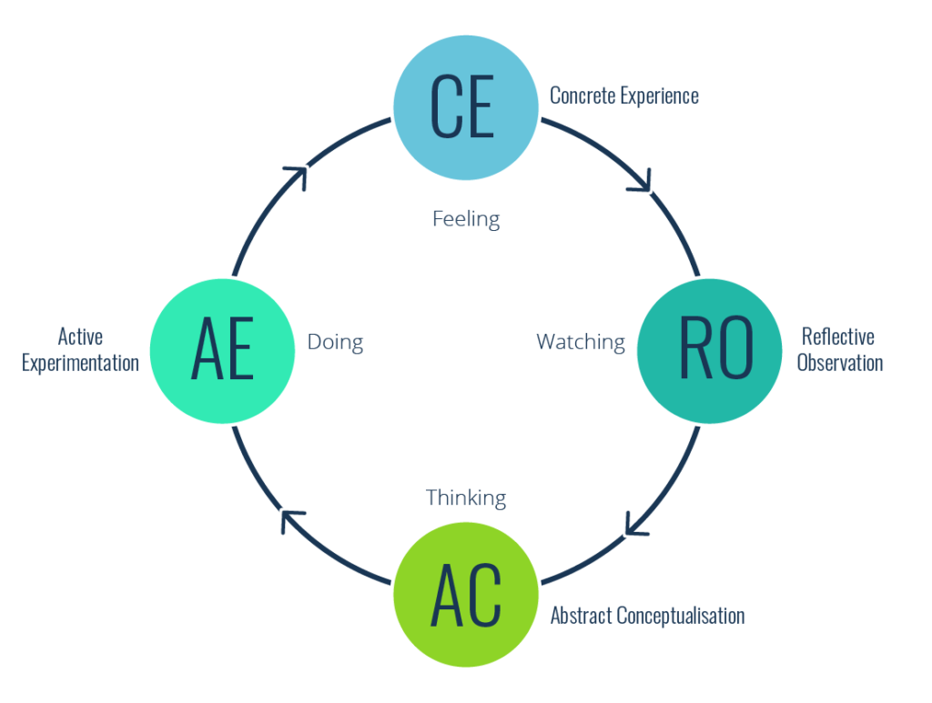 Experiential learning cycle