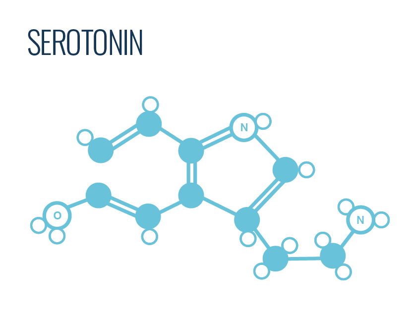Use online learning features to improve mental health and produce serotonin