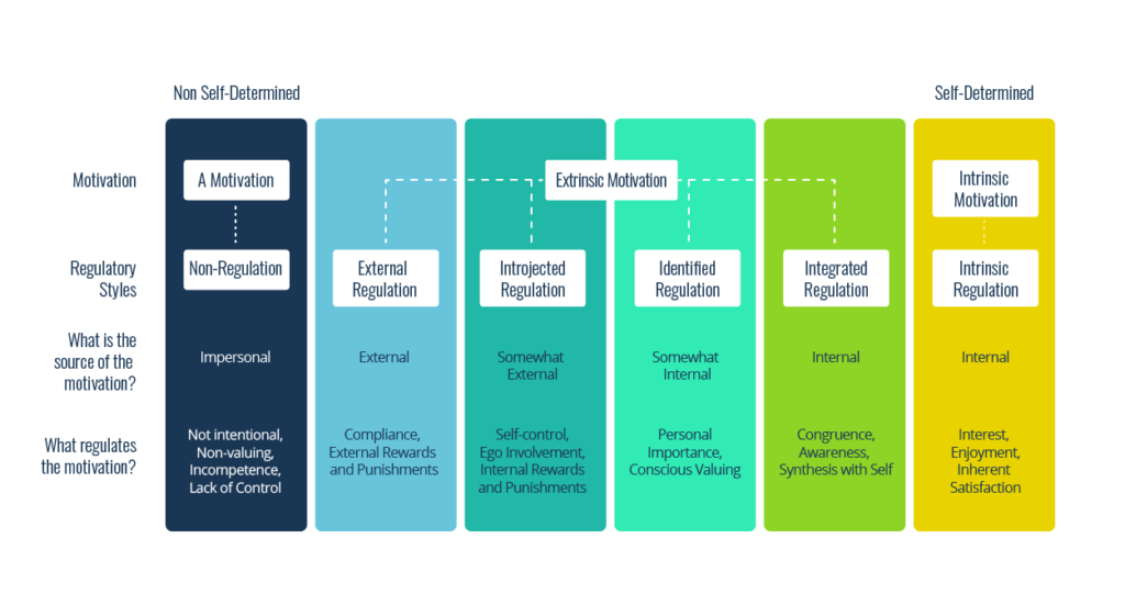 SelfDetermination Theory A Guide to Learner Motivation