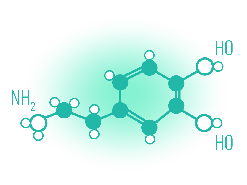 How Dopamine Shapes Learning: Unveiling the Brain's Secrets