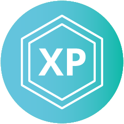 Badges & XP Icon