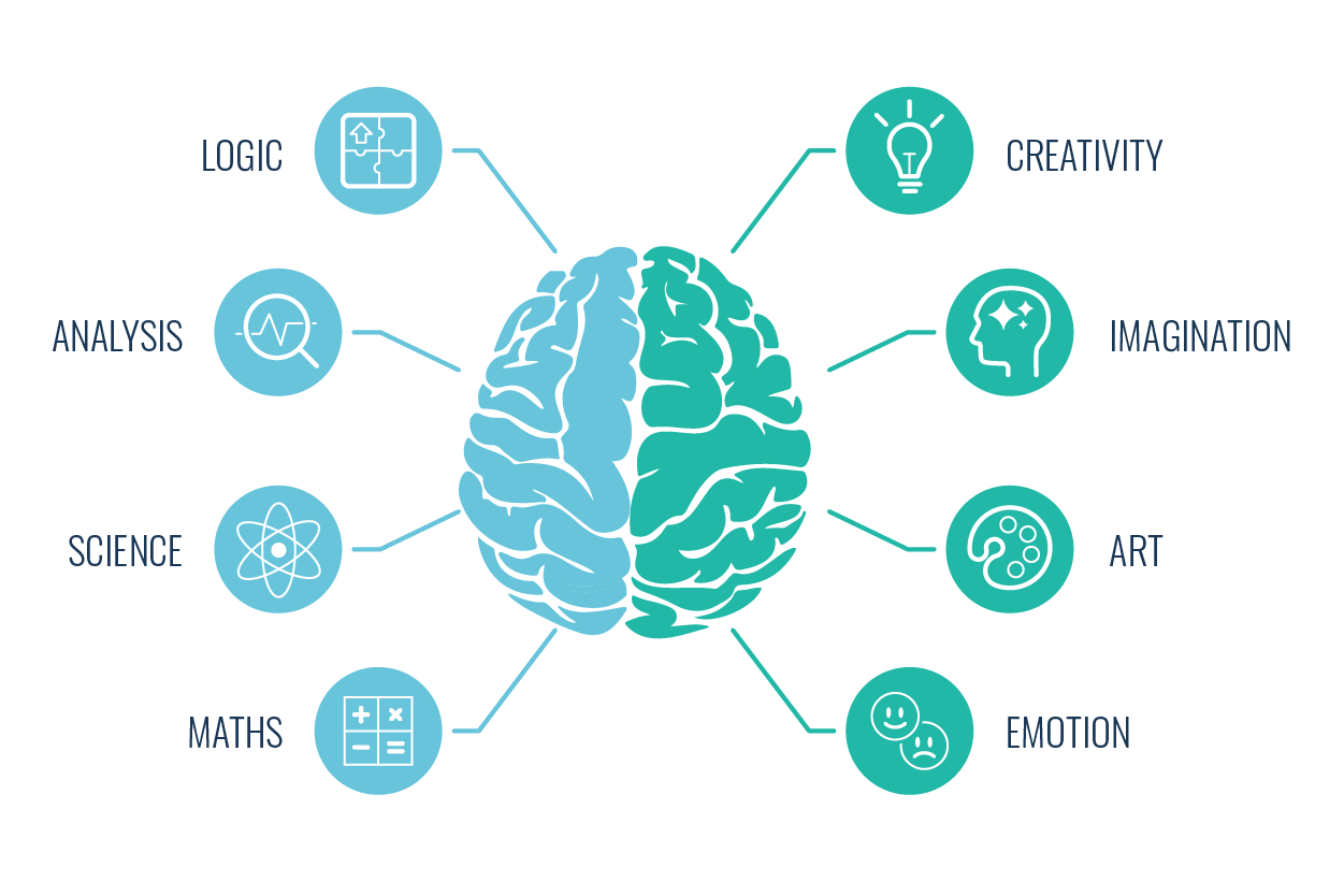 Right Brain vs Left Brain