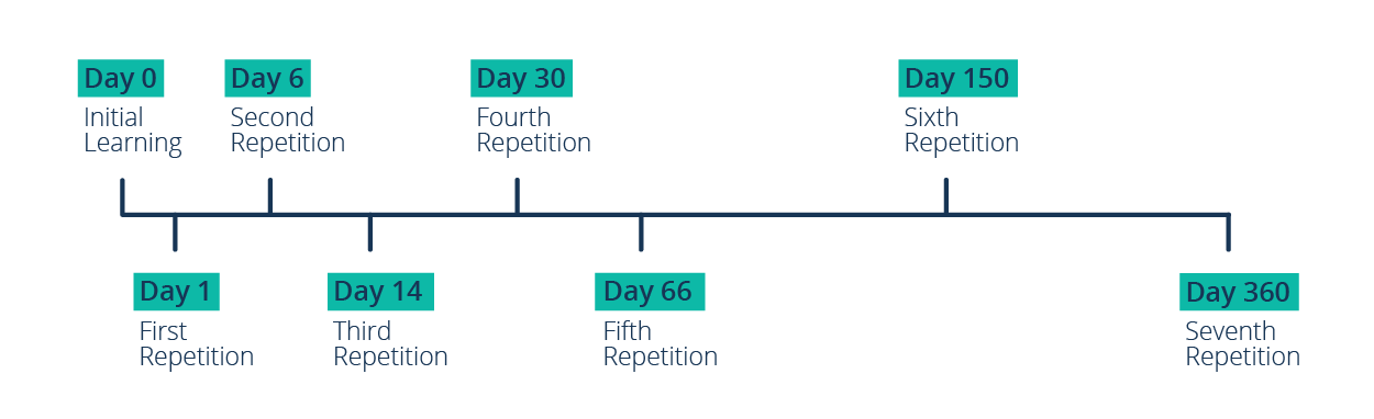 Reinforcement schedule timeline