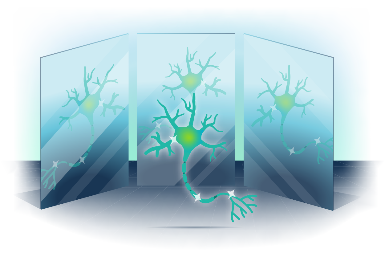 Mirror neurons hero image