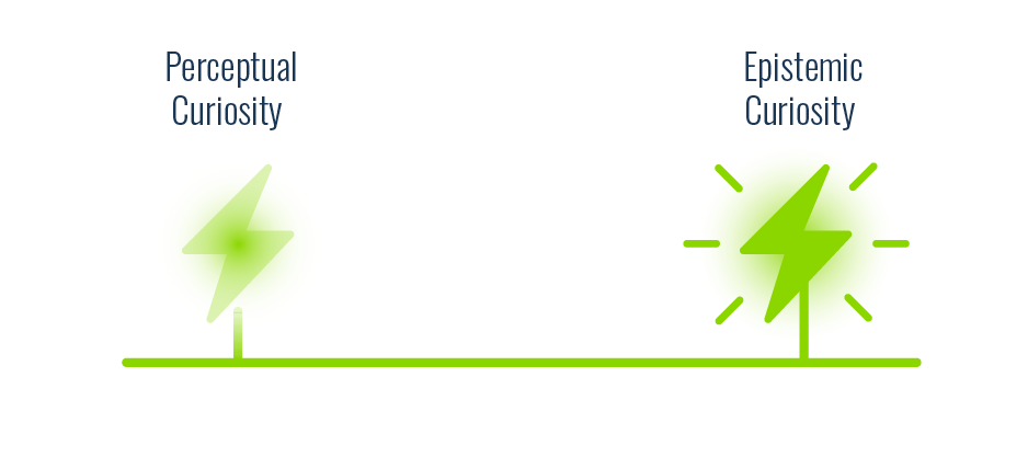 Perceptual and Epistemic Curiosity