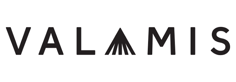 Valamis logo